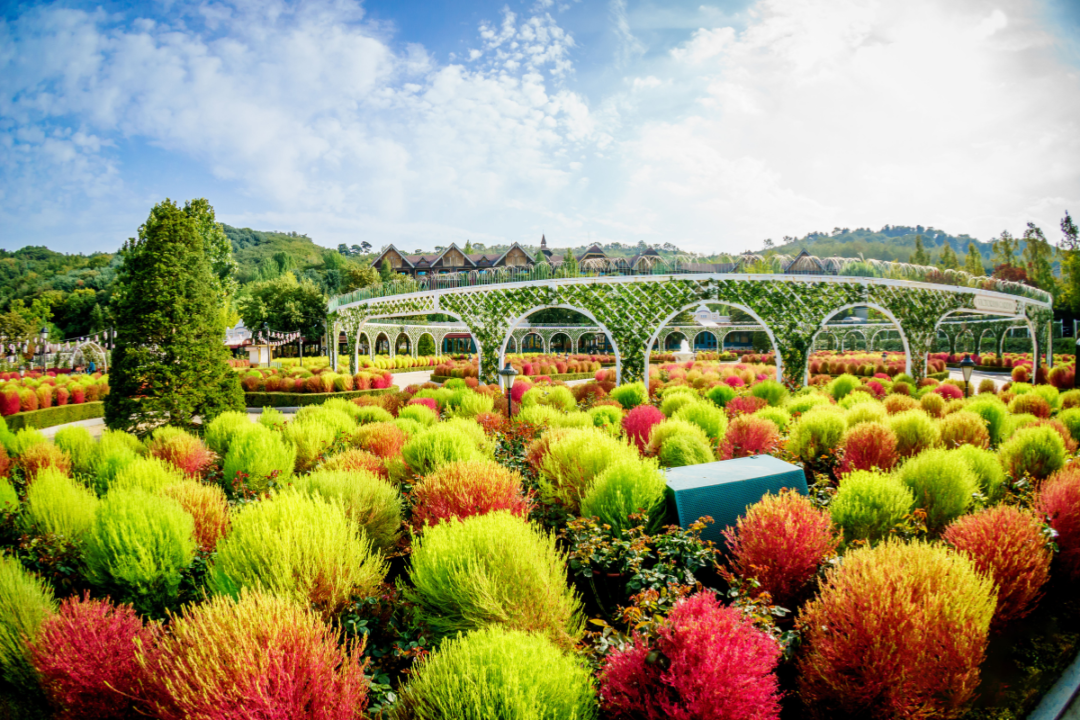 Công viên Everland Hàn Quốc