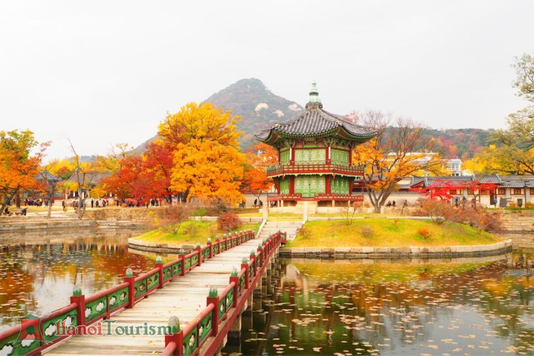 Tour Hàn Quốc Seoul Mùa Thu (05 ngày) - từ Hà Nội - Hình ảnh 4