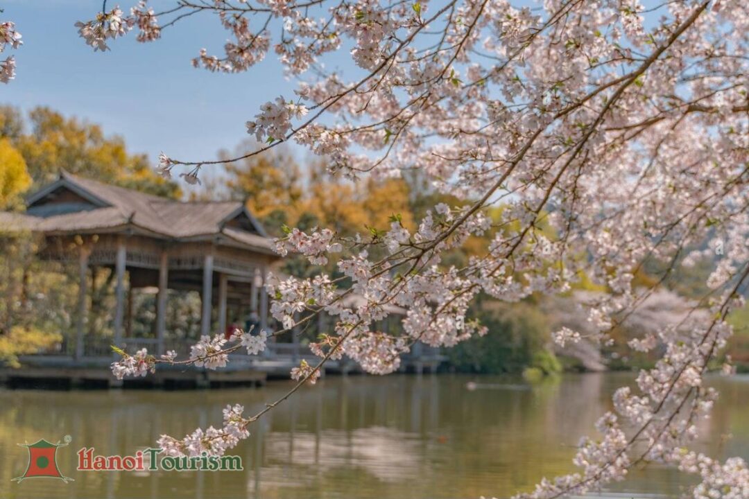 Tour Thượng Hải - Thưởng ngoạn Giang Nam (05 ngày) - từ Hà Nội - Bay China Eastern Airlines - Hình ảnh 14