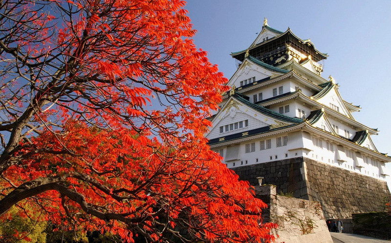 Lâu đài Osaka mùa thu - Nhật Bản