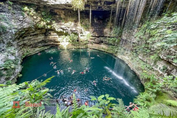 Cenote Selva Maya (giếng trời thiêng liêng) - Mexico