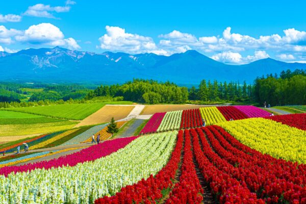 Hokkaido