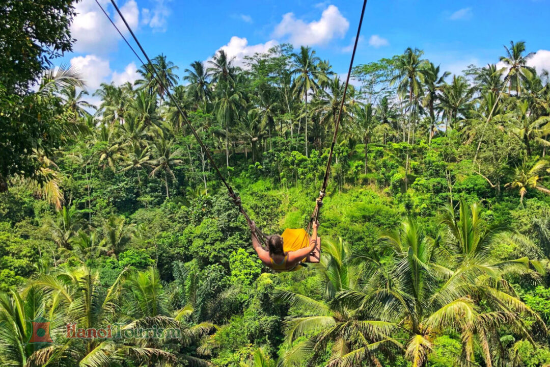 Tour Đảo Ngọc Bali - Bay thẳng (4 ngày) - Từ Hà Nội - Ảnh 6