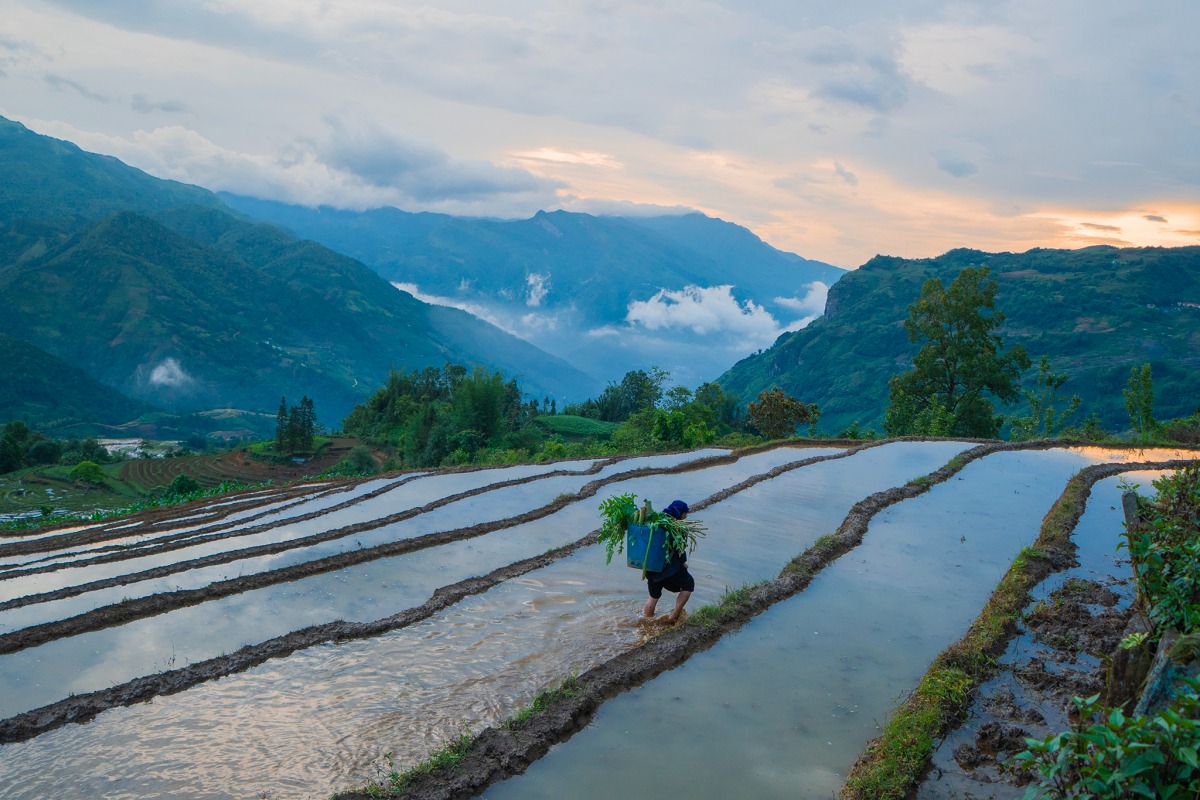 Y Tý mùa nước đổ 1