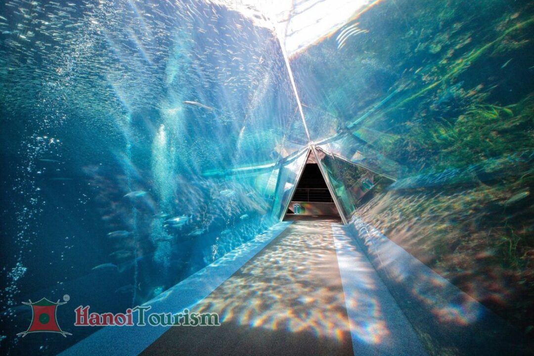 Aquamarine Fukushima - Fukushima - Nhật Bản