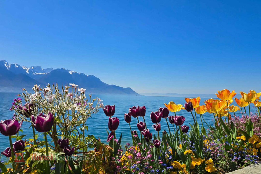 Dạo ven hồ Geneva – Montreux- Thụy Sĩ