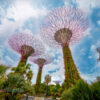 Garden By the Bay - Thái Lan