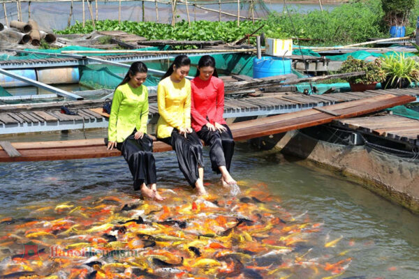 Khu Du Lịch Cồn Sơn