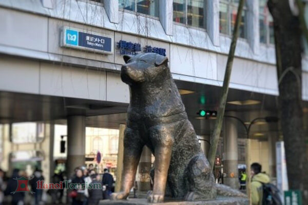 Nhật Bản - Shibuya Crossing & tượng Hachiko