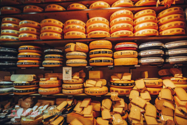 Nông trại phô mai De Catharina Hoeve – Zaanse Schans, Hà Lan