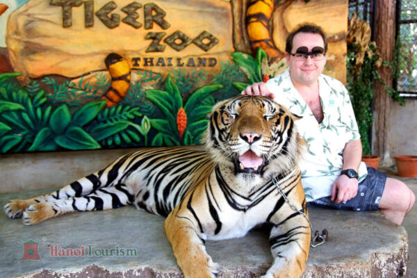 Trung tâm Tiger Hugb