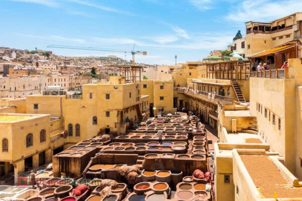 Chợ da (Chouara Tannery) – Fes-Maroc