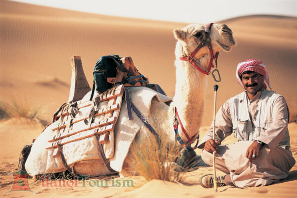 Cưỡi lạc đà - Dubai
