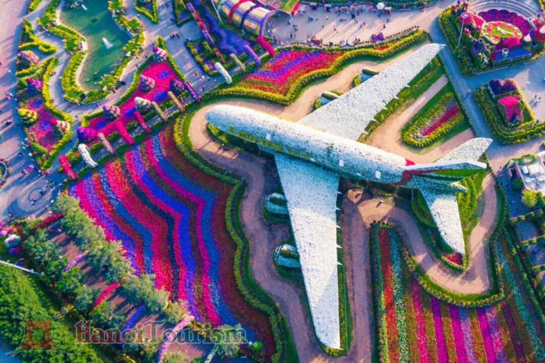 Dubai Miracle Garden - Dubai