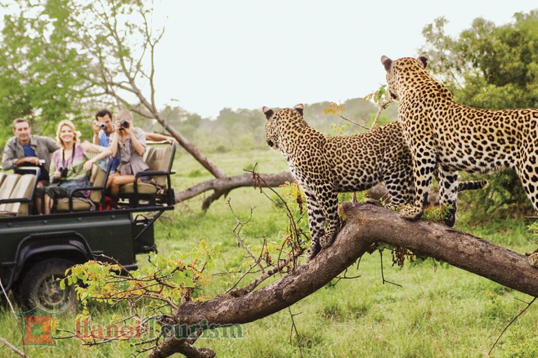 Pilanesberg Game Reserve - Nam Phi