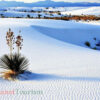 Sa mạc Trắng (White Desert) - Ai Cập