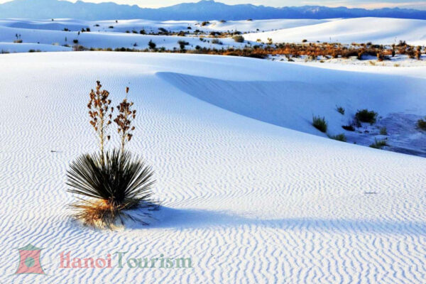 Sa mạc Trắng (White Desert) - Ai Cập