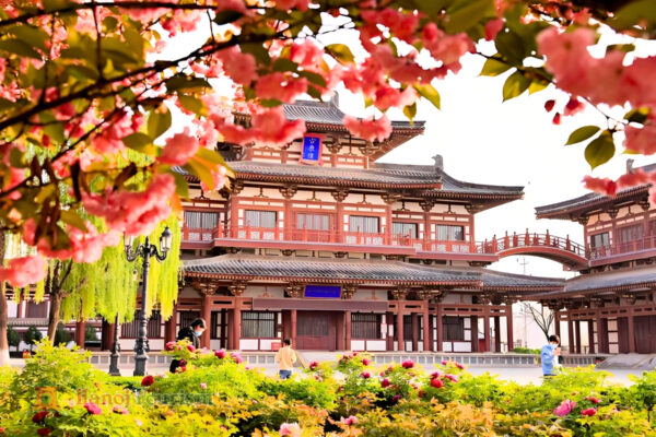 Chùa Thanh Long - Tây An - Trung Quốc