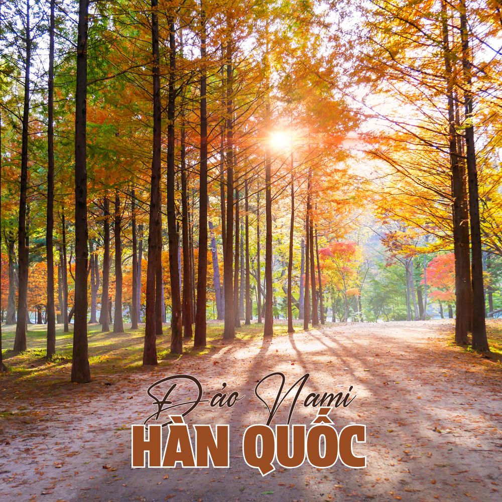 Đảo Nami - Hàn Quốc