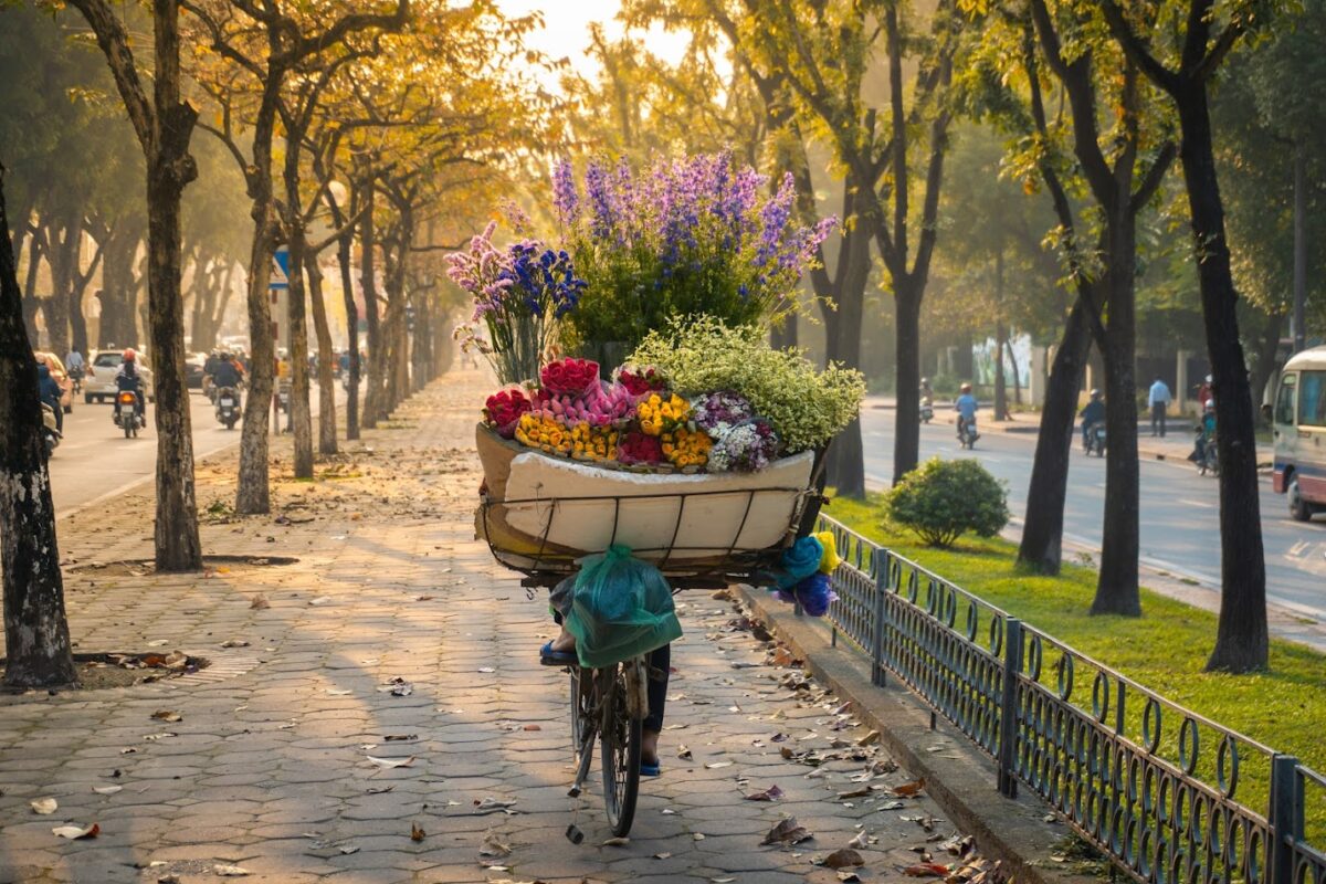 Mùa thu Hà Nội