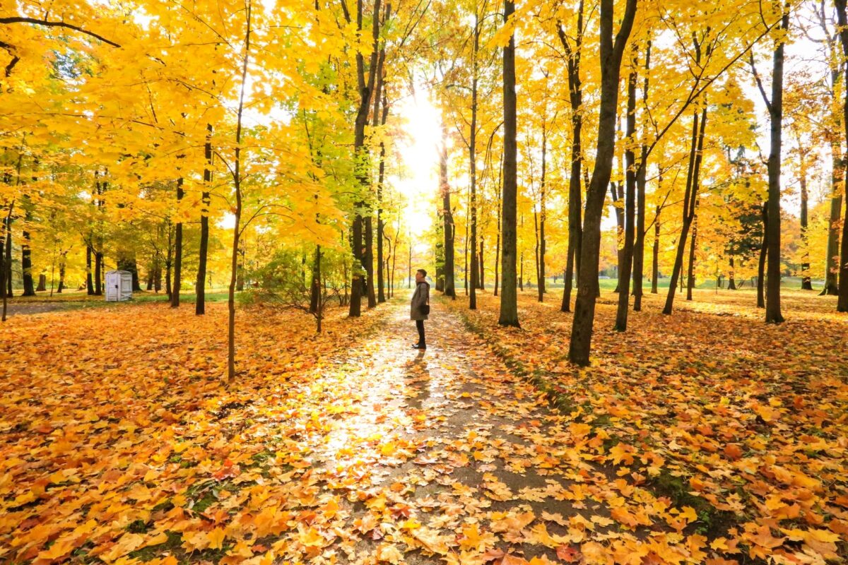 Địa điểm du lịch mùa thu