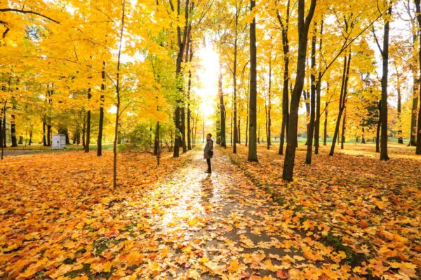 Địa điểm du lịch mùa thu