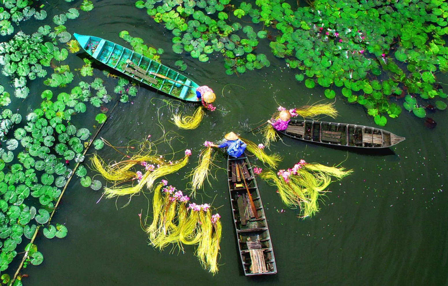 Miền Tây mùa nước nổi