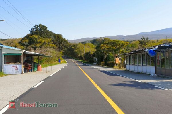 Con đường Kỳ Bí (Mysterious Road) - Jeju - Hàn Quốc