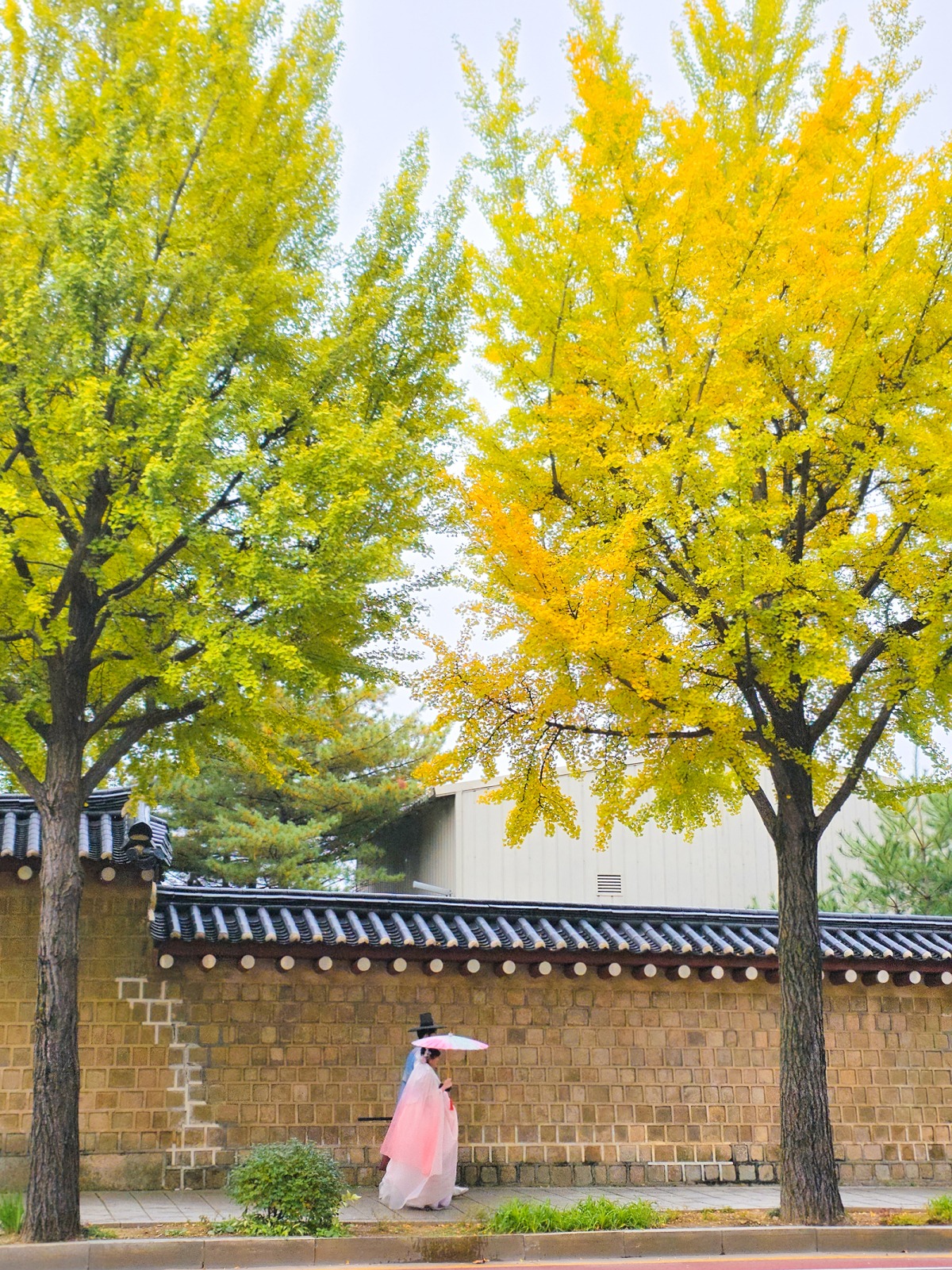 Địa điểm ngắm lá vàng Seoul 3