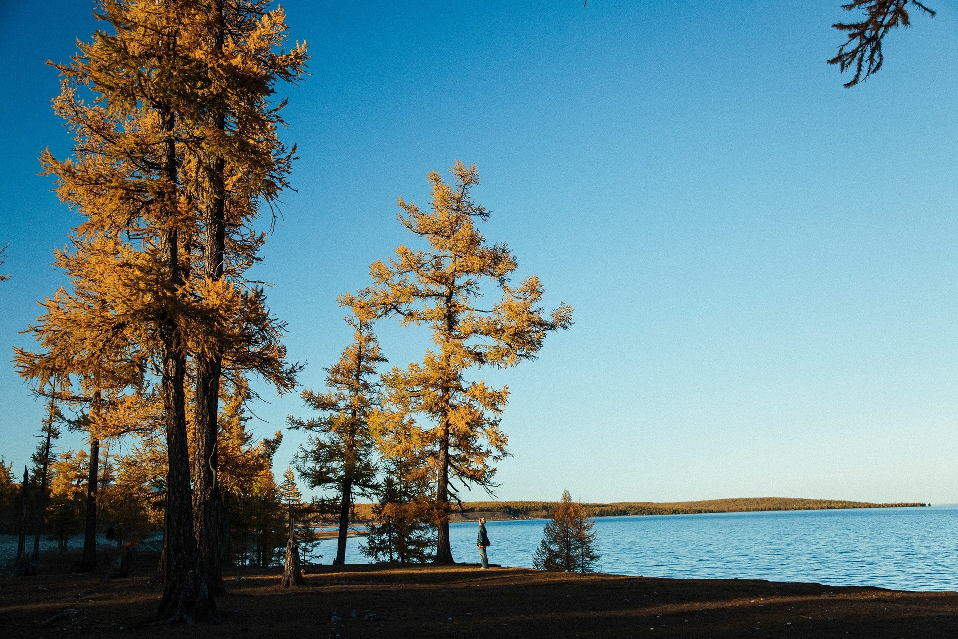 Du lịch Mông Cổ mùa thu 1