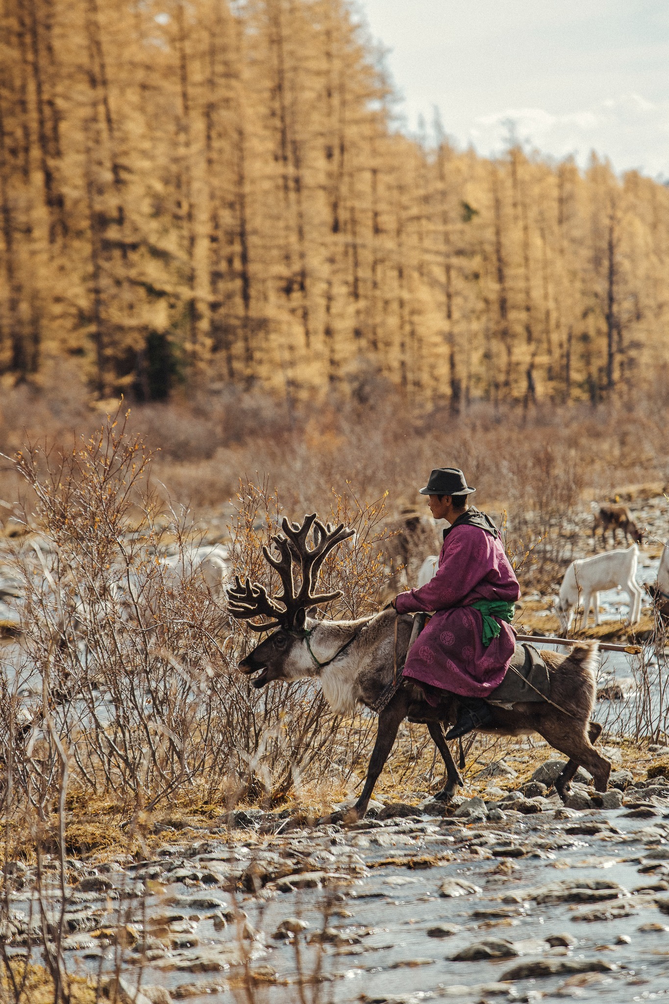 Du lịch Mông Cổ mùa thu 6