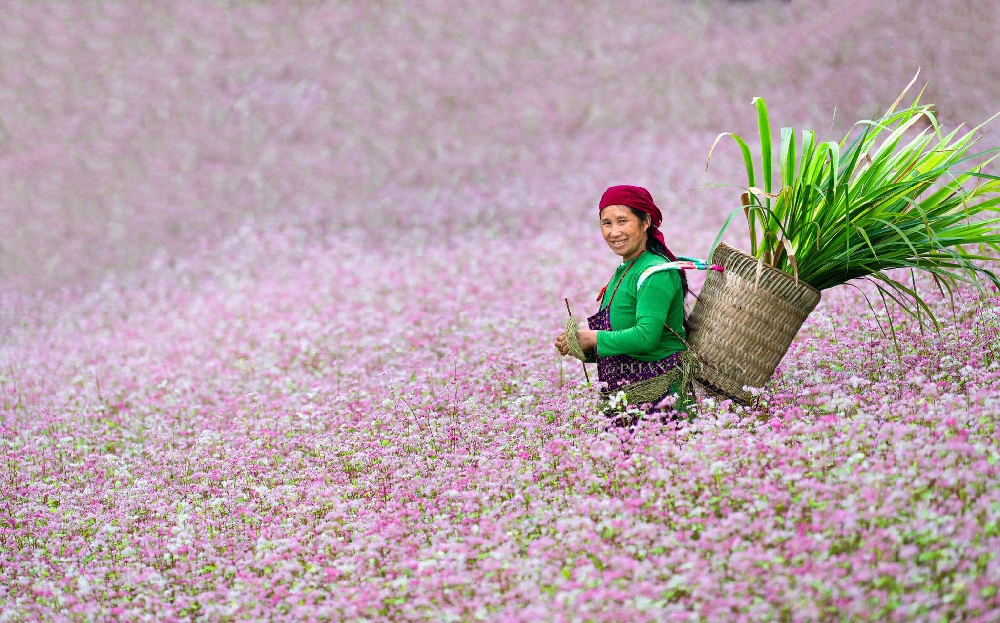 Hà Giang - ảnh Phan Nguyên 1