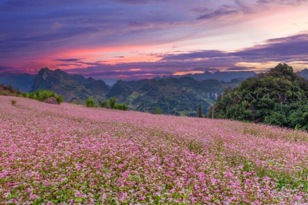 Hà Giang - ảnh Phan Nguyên