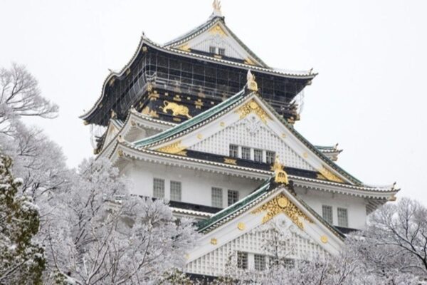 Lâu đài Osaka - Nhật Bản - Mùa đông