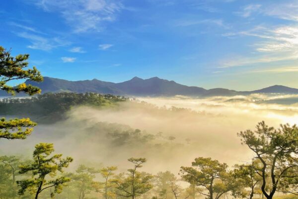 Đà Lạt tháng 12