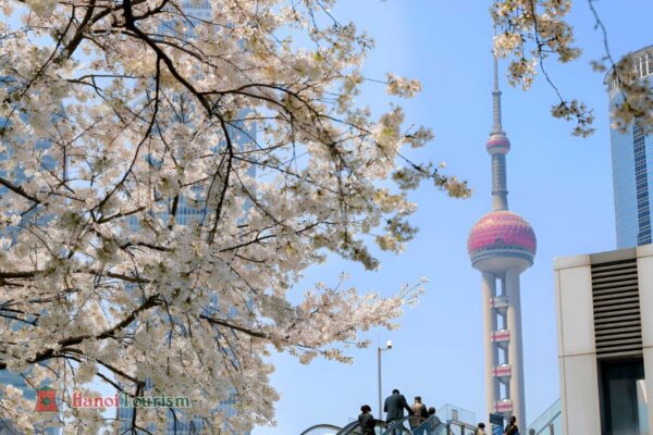 Tháp Truyền hình Đông Phương Minh Châu - Thượng Hải