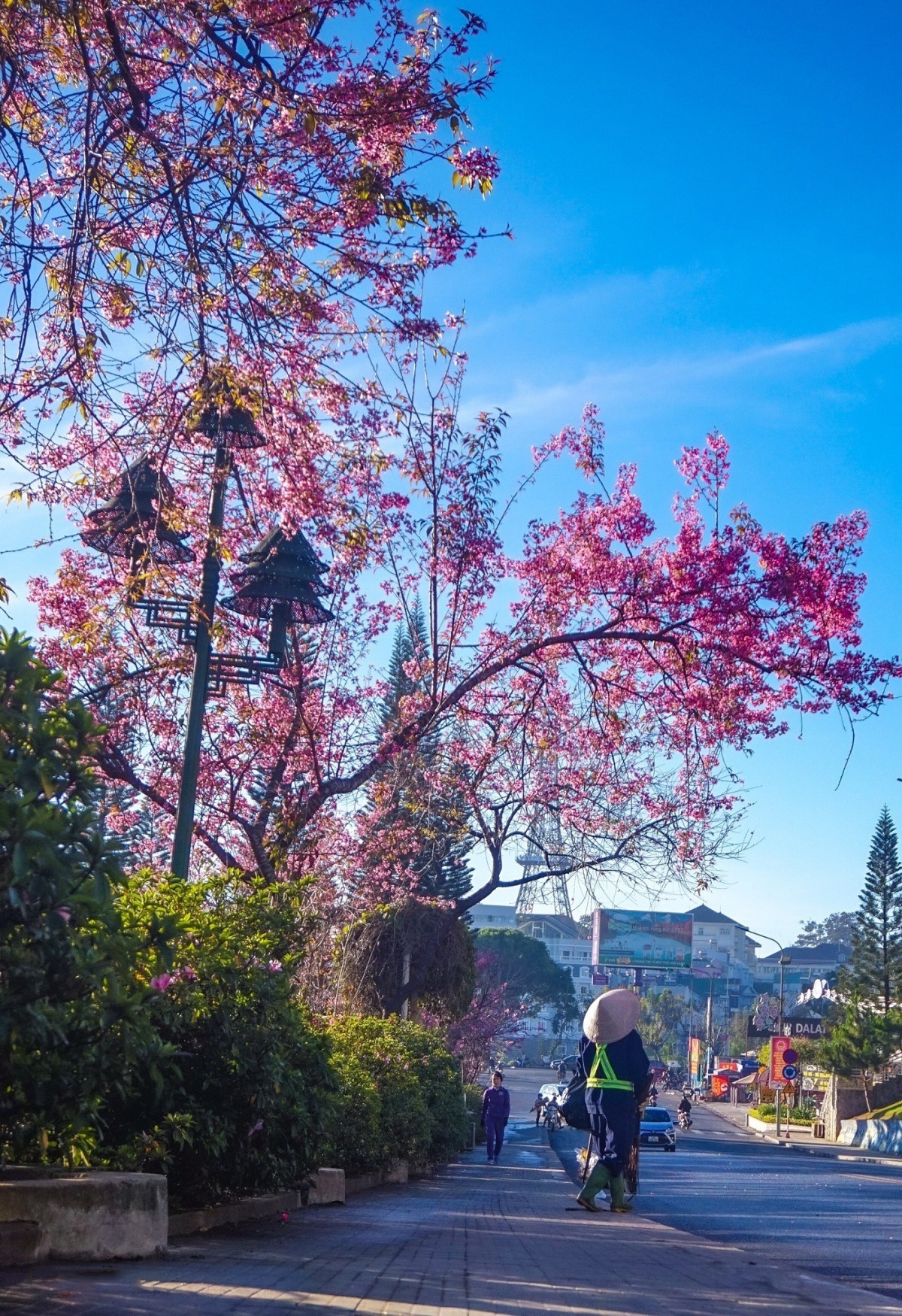 Đường Hùng Vương - Đà Lạt