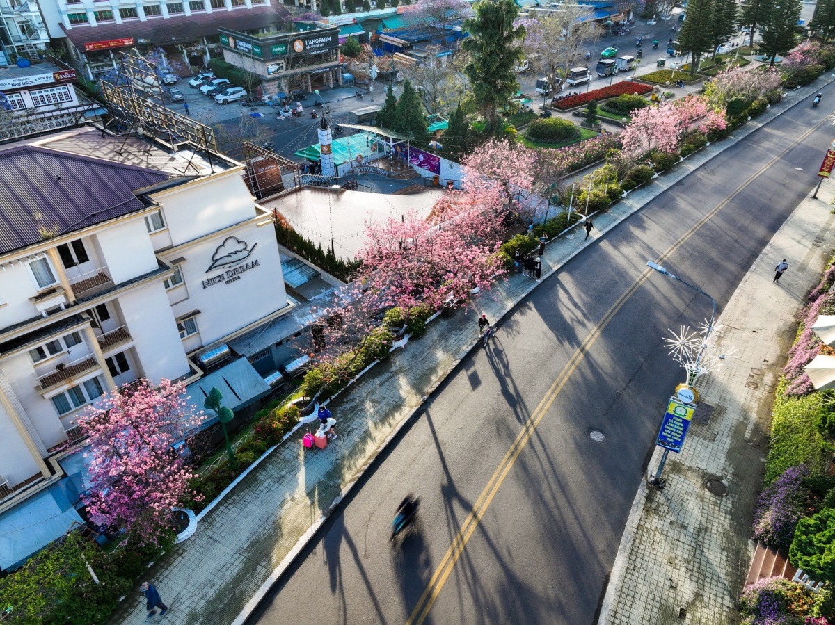 Đường Lê Đại Hành - Đà Lạt