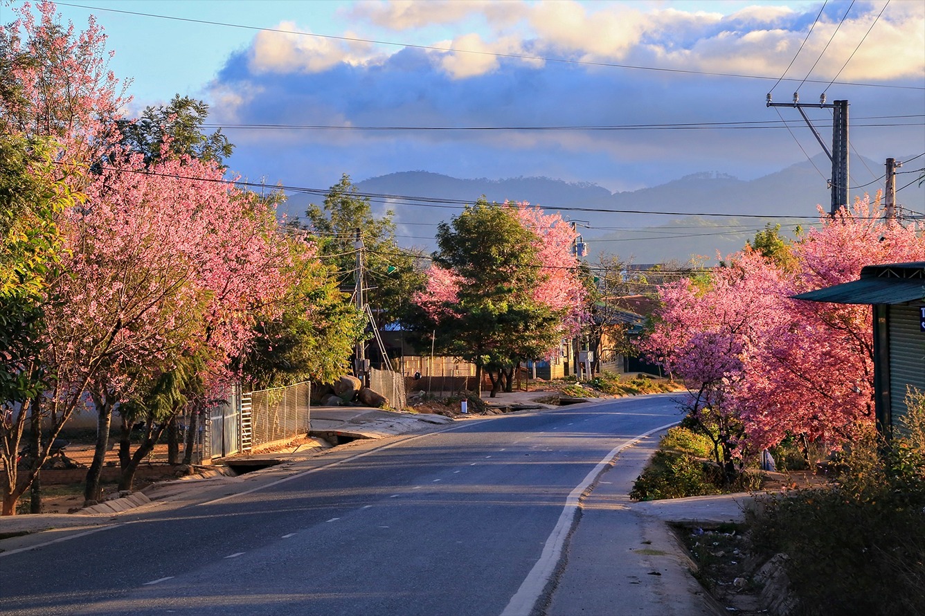 Đường Tà Nung - Đà Lạt