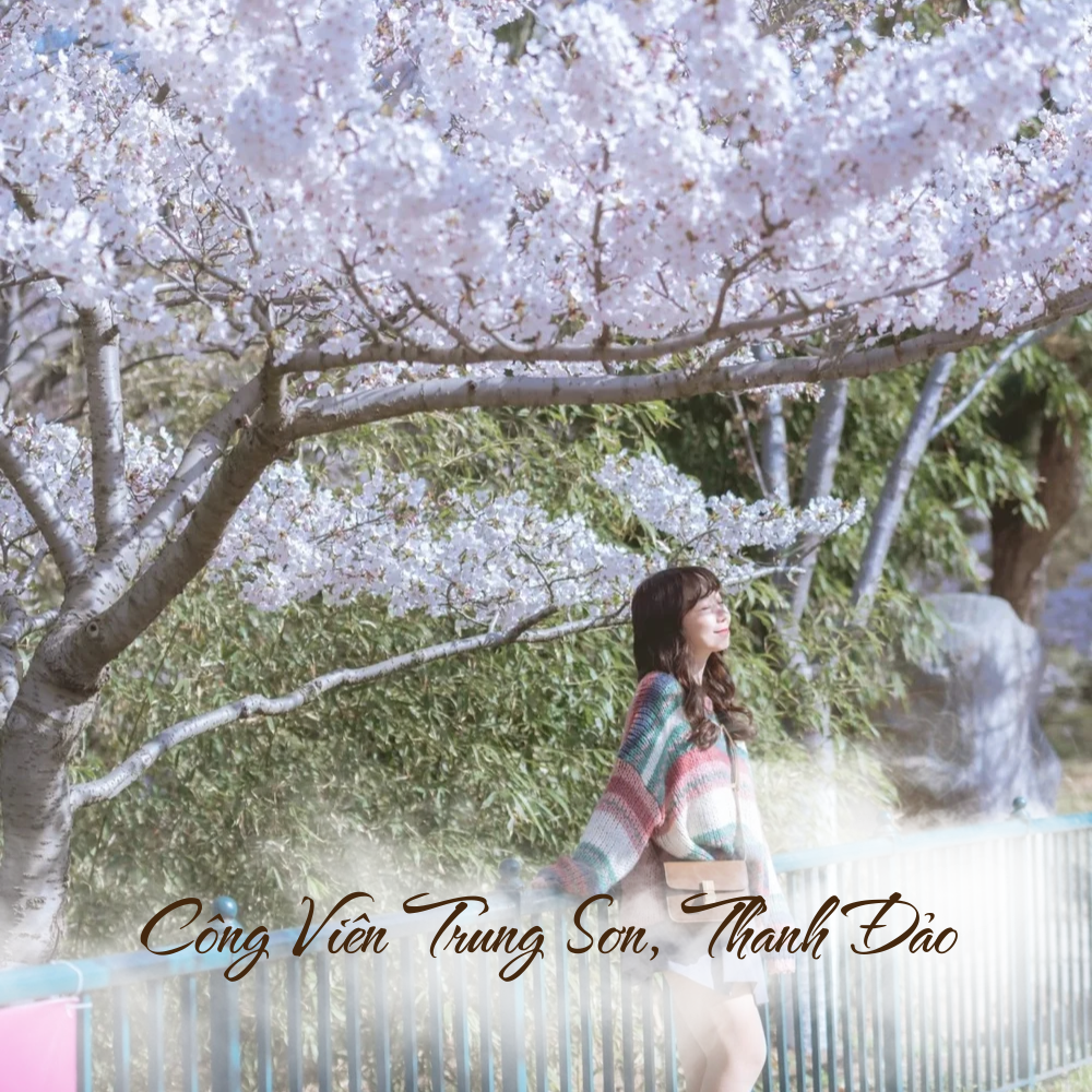 Công Viên Trung Sơn, Thanh Đảo