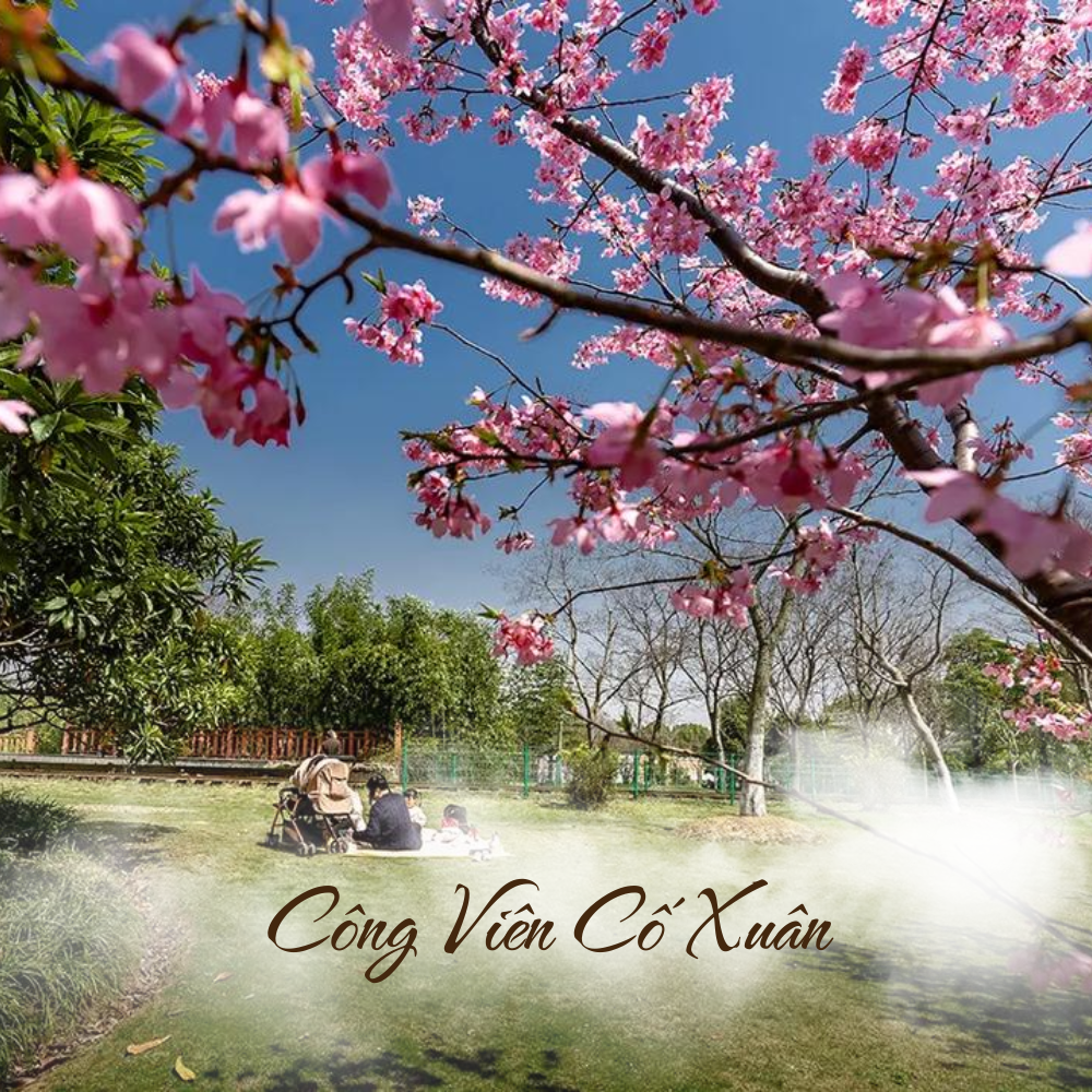 Công viên Cố Xuân