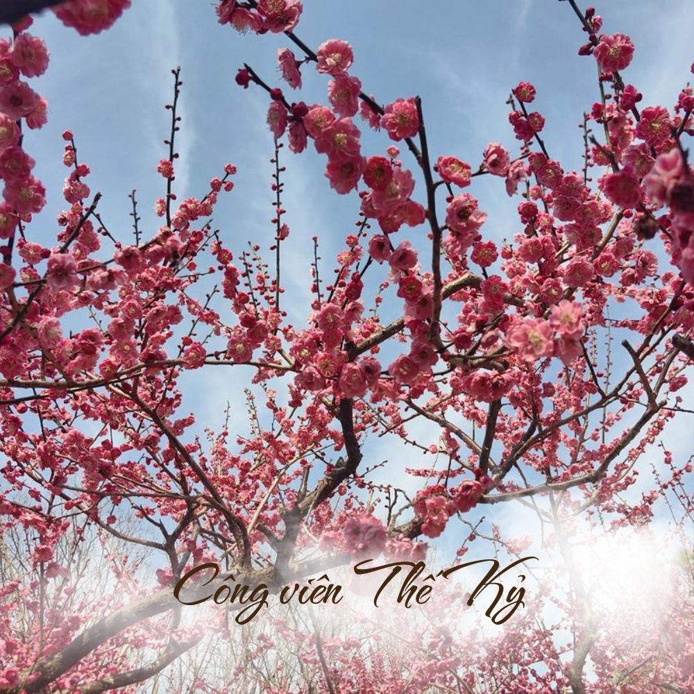 Công viên Thế Kỷ