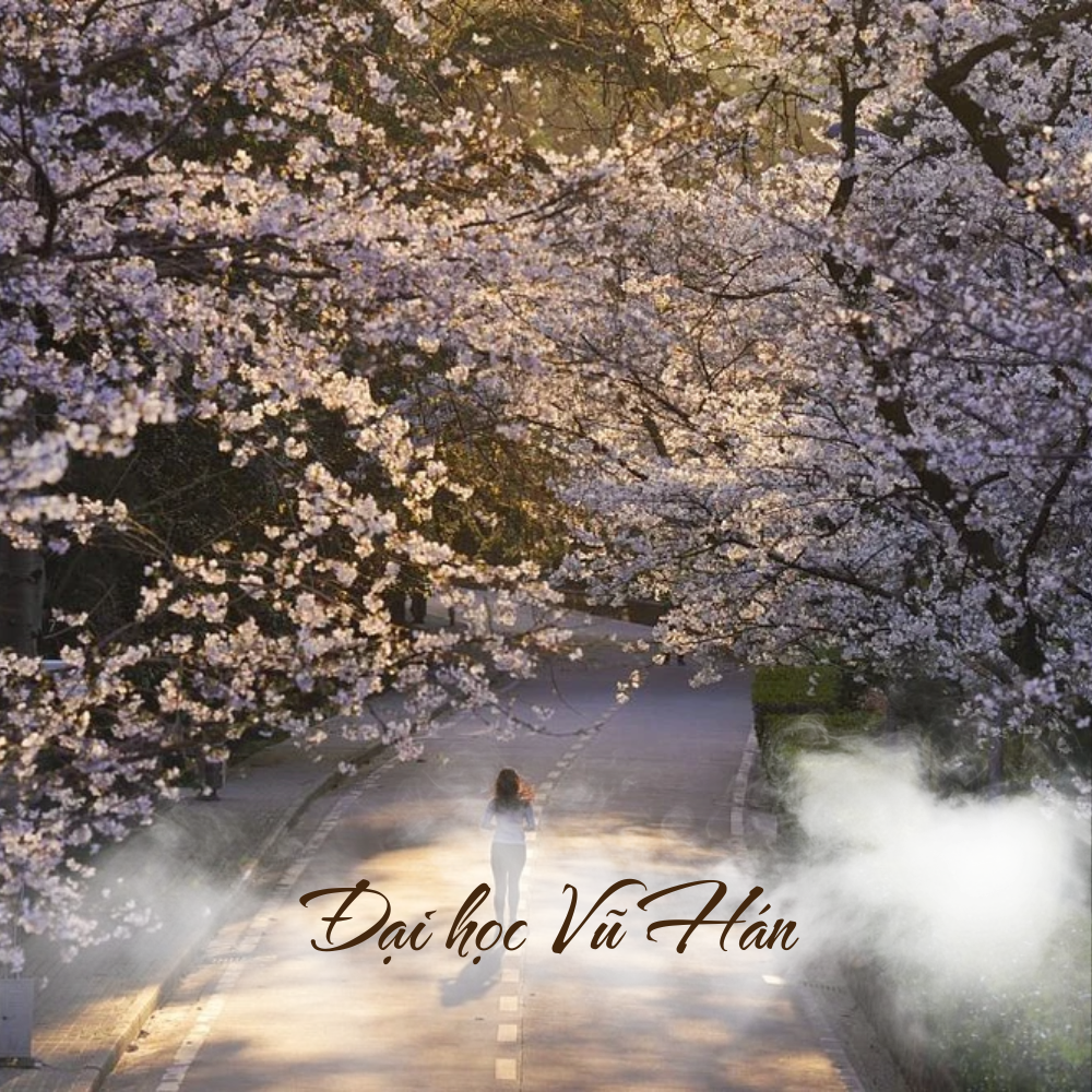 Công viên Vũ Hán