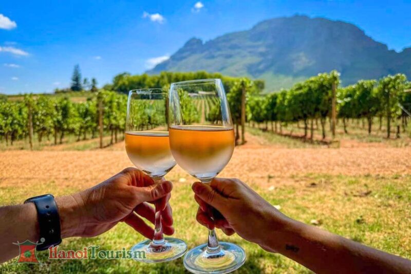 Wine Tour tại vườn nho - Ấn Độ