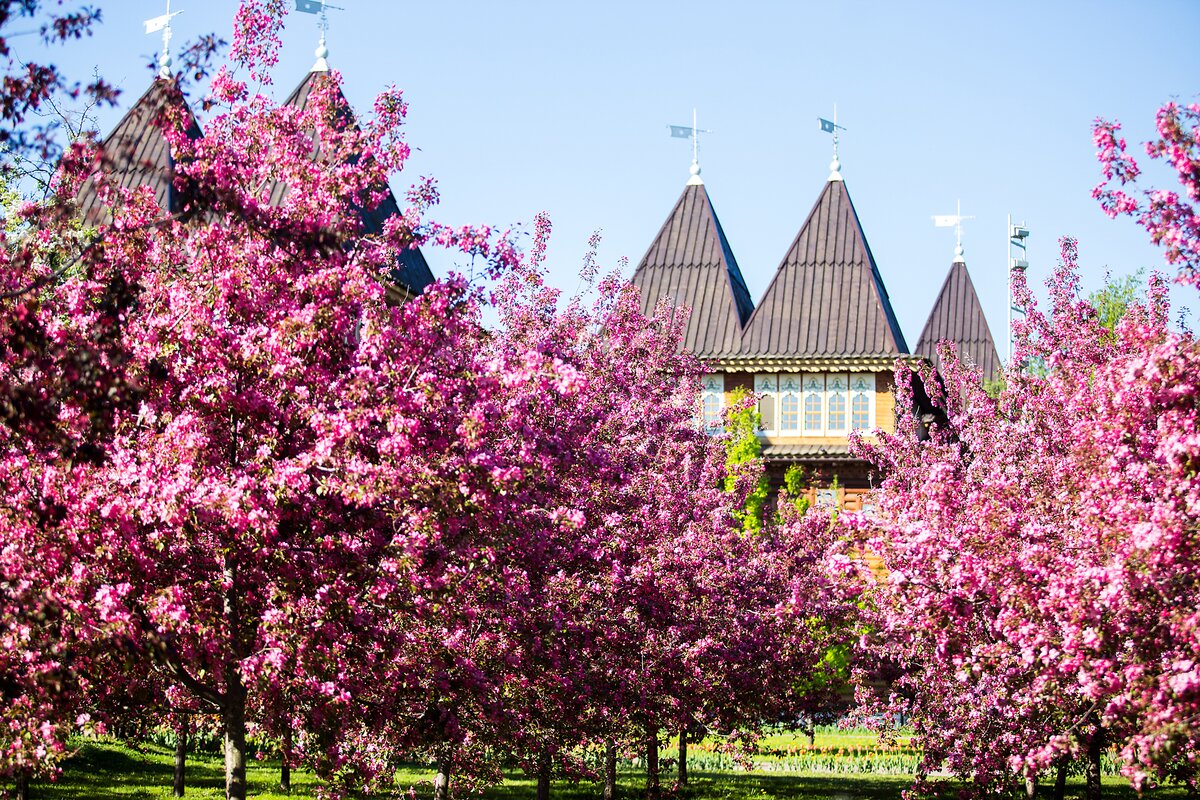 Du lịch nước Nga mùa xuân