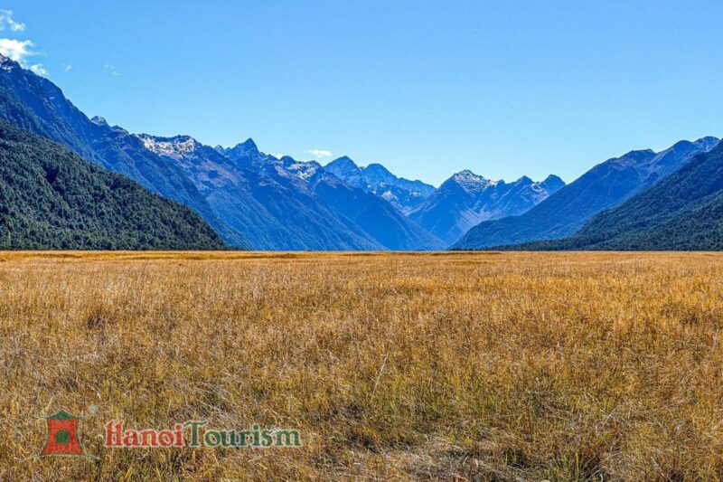 Eglinton Valley - Milford - New Zealand