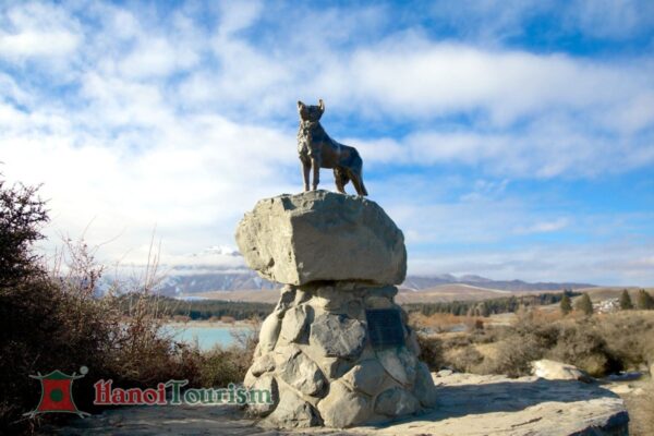 Tượng chó chăn cừu - New Zealand
