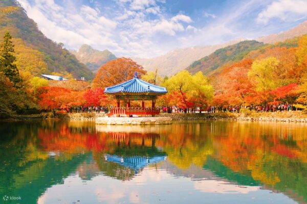 Công viên quốc gia Naejangsan