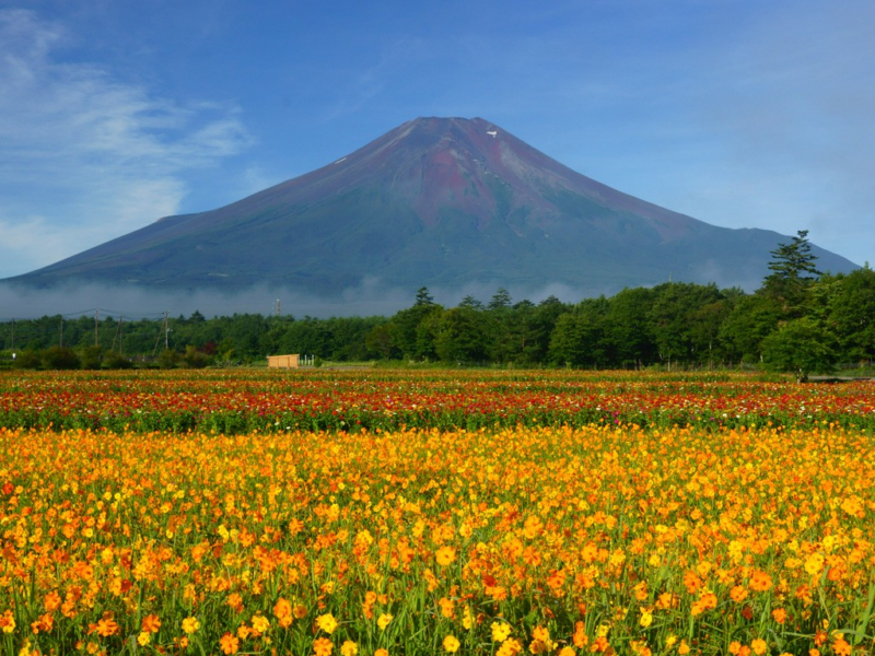 Mùa Thu Ở Nhật Bản Như Thế Nào