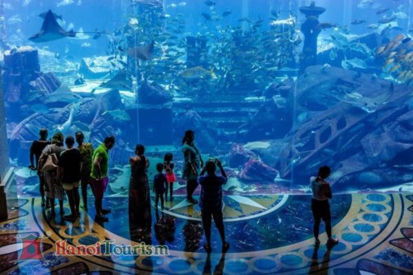 Show thủy cung Atlantis - Hải Nam - Trung Quốc